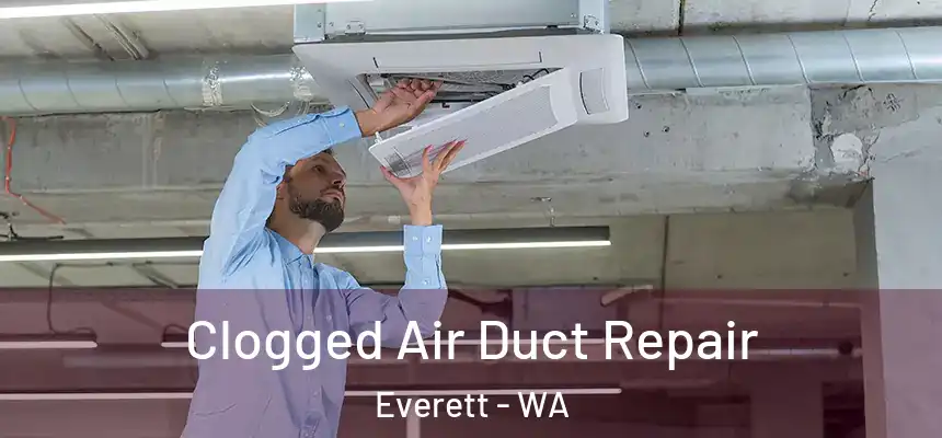  Clogged Air Duct Repair Everett - WA