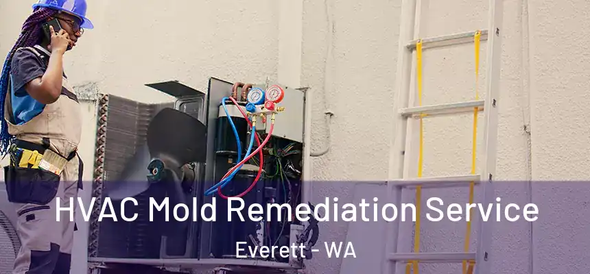  HVAC Mold Remediation Service Everett - WA