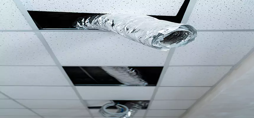 Our Air Duct Pet Hair Removal Services in Everett, WA