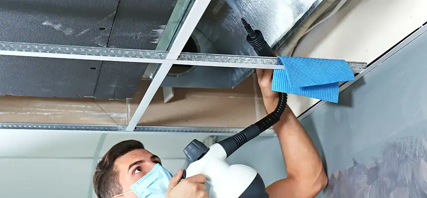 Our Air Duct Rodent Removal Services in Everett, WA