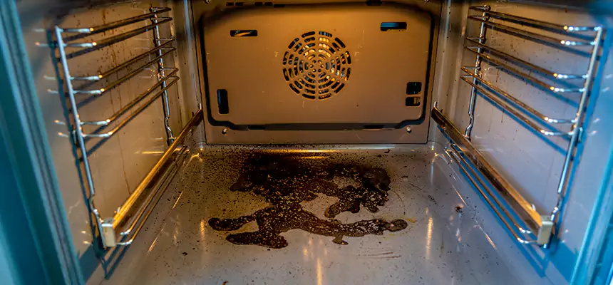 Our Dryer Vent Mold Cleaning Services in Everett, WA