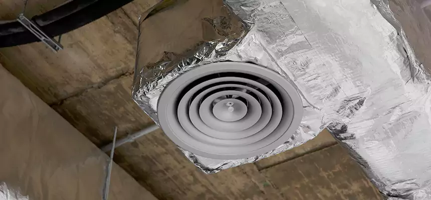 Our Excess Lint Removal from Dryer Ducts Services in Everett, WA
