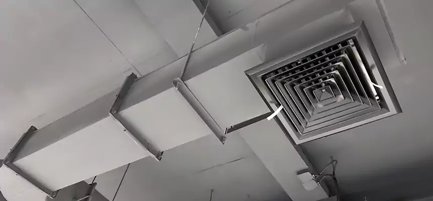 Our Pest Removal From Ducts Services in Everett, WA