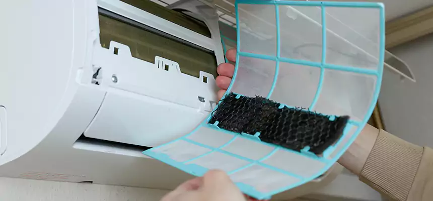 Gentle Ductwork Odor-Control Pet Dander Duct Cleaning in Everett, WA