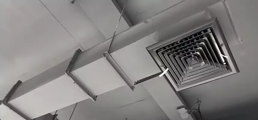 Our Rodent Droppings In Vents Services in Everett, WA