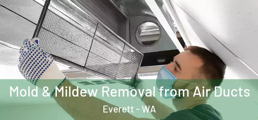  Mold & Mildew Removal from Air Ducts Everett - WA