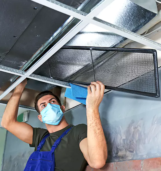 About Air Duct Bacteria Removal in Everett