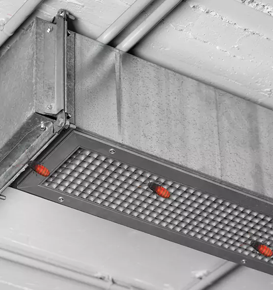 About Air Duct Cockroach Removal in Everett, WA