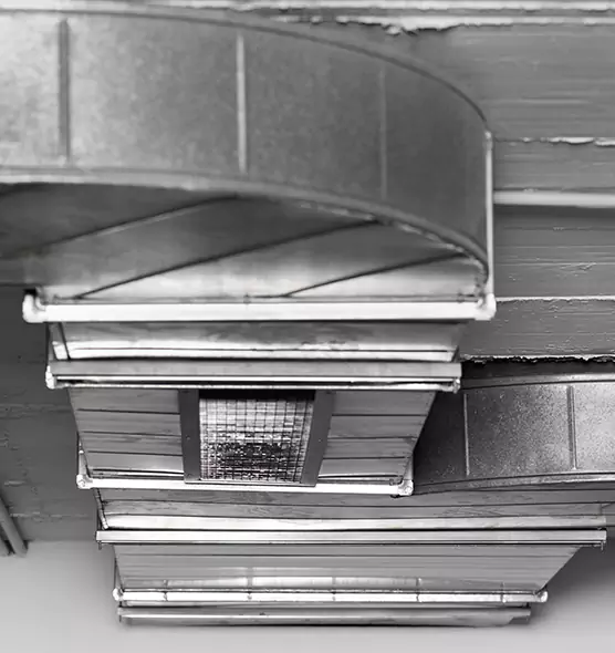 Professional Air Duct Pest Removal in Everett, WA