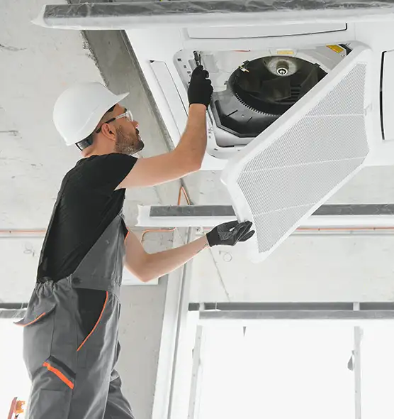 About Air Duct Rodent Removal in Everett, WA