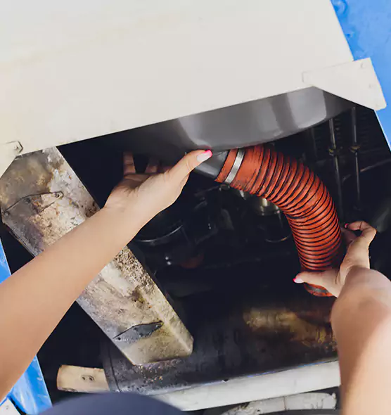 About Air Duct Virus Disinfection in Everett, WA