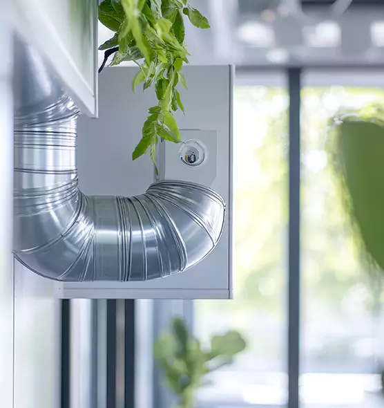 Professional Eco-Friendly Duct Cleaning Services in Everett, WA