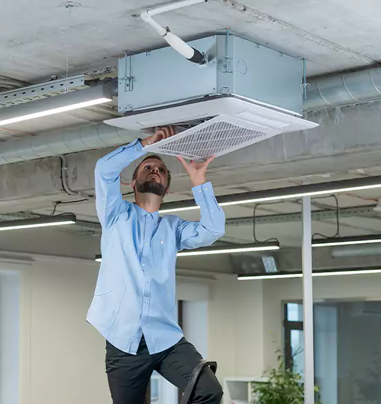 Advanced Rodent Droppings In Vents in Everett, WA