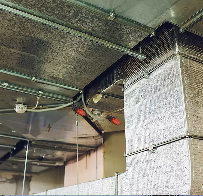 Why Homeowners & Businesses Trust Us in Everett, WA?