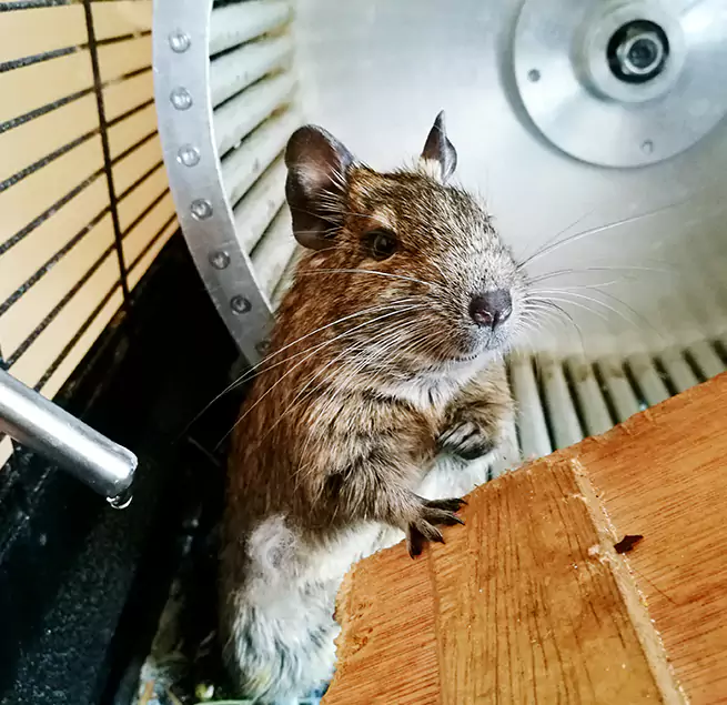 Why Homeowners & Businesses Trust Us Everett, WA