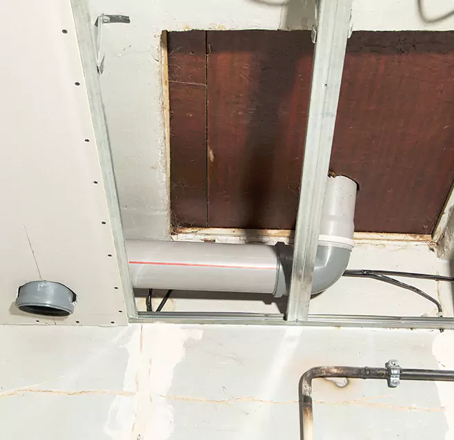 Why Homeowners & Businesses Trust Us in Everett, WA?