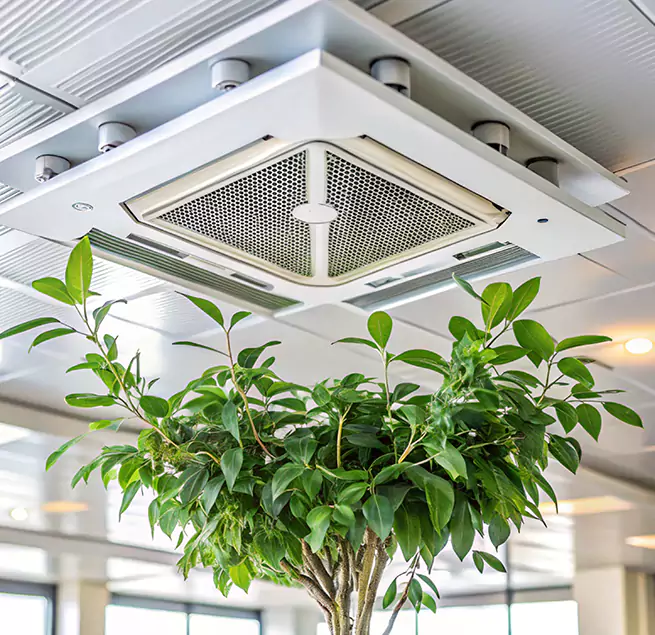 Why Homeowners & Businesses Trust Us in Everett, WA