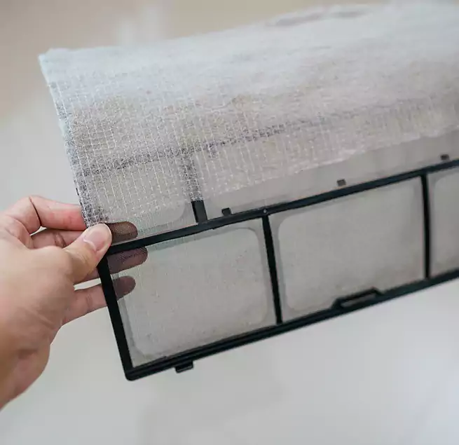 Why Homeowners & Businesses Trust Us in Everett, WA?