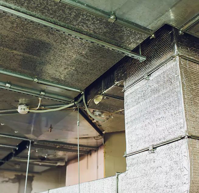 Why Homeowners & Businesses Trust Us in Everett, WA?