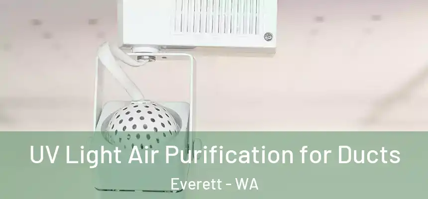  UV Light Air Purification for Ducts Everett - WA